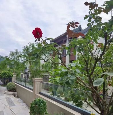 Ευέλικτο γυάλινο κάγκελο από αλουμίνιο σε κανάλι U